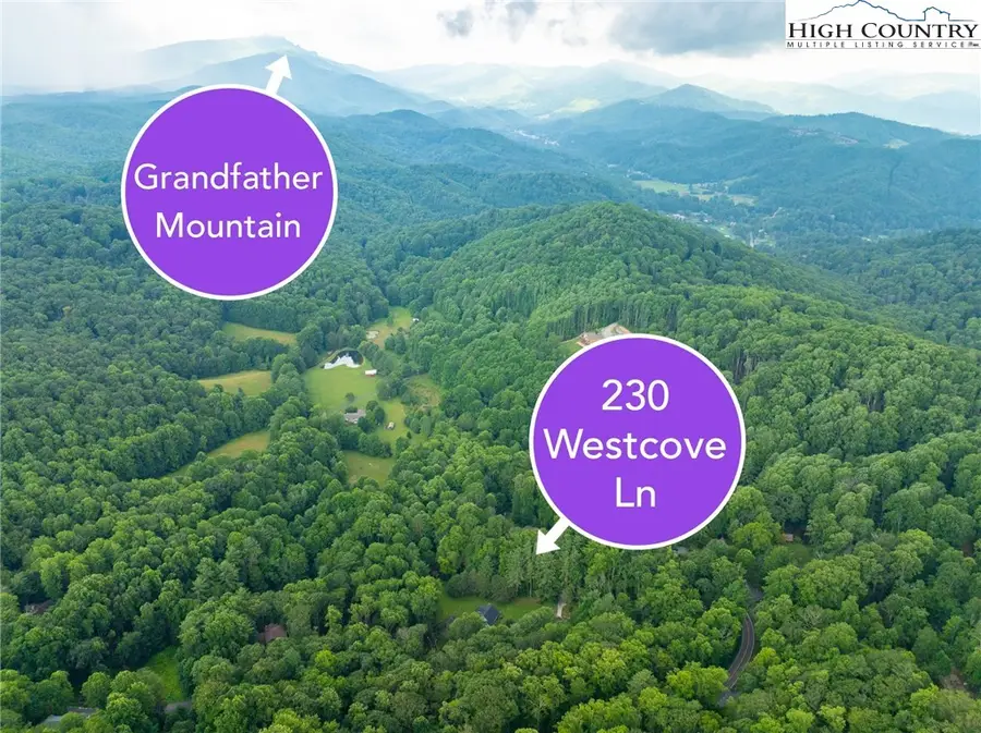230 Westcove Lane, Boone, NC 28607 - #2