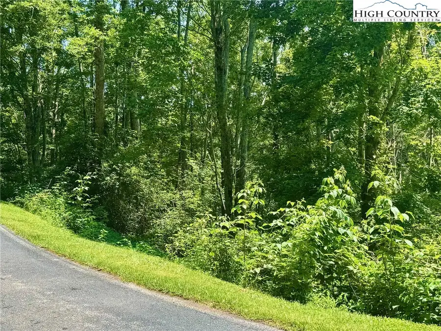 TBD Hemlock Drive, Newland, NC 28657 - Image #2