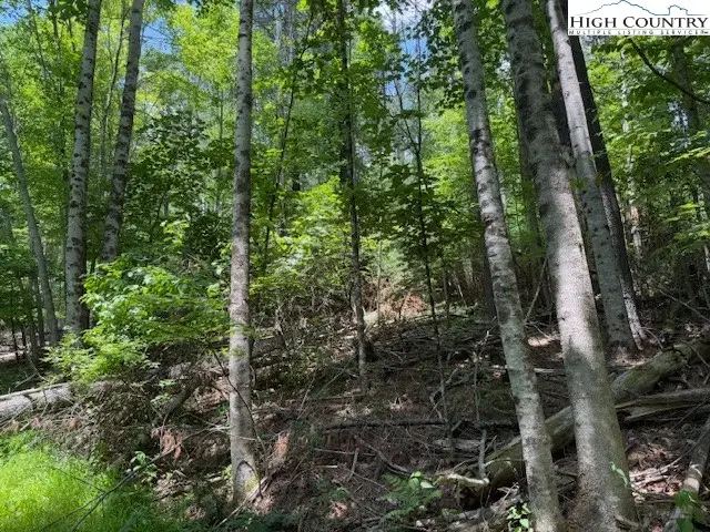 TBD Apple Canyon Drive, West Jefferson, NC 28694 - Image #2