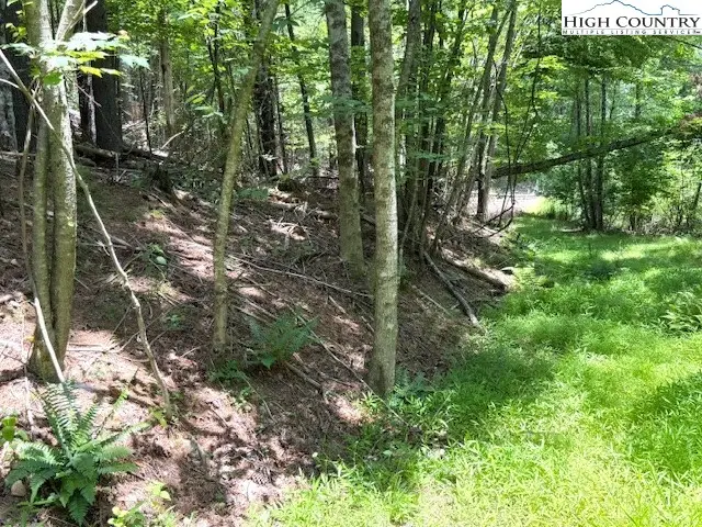 TBD Apple Canyon Drive, West Jefferson, NC 28694 - Image #3