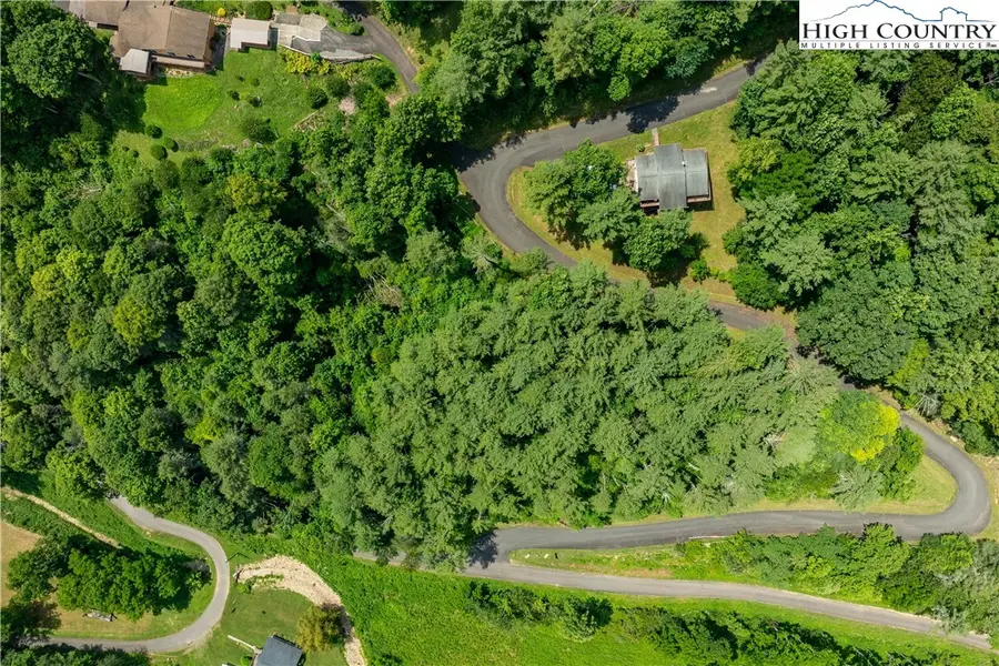 Lot 1 Lake Ridge, Butler, TN 37640 - #2