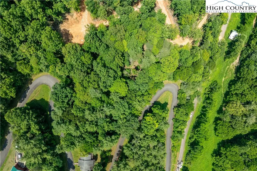 Lot 2 Lake Ridge, Butler, TN 37640 - #2