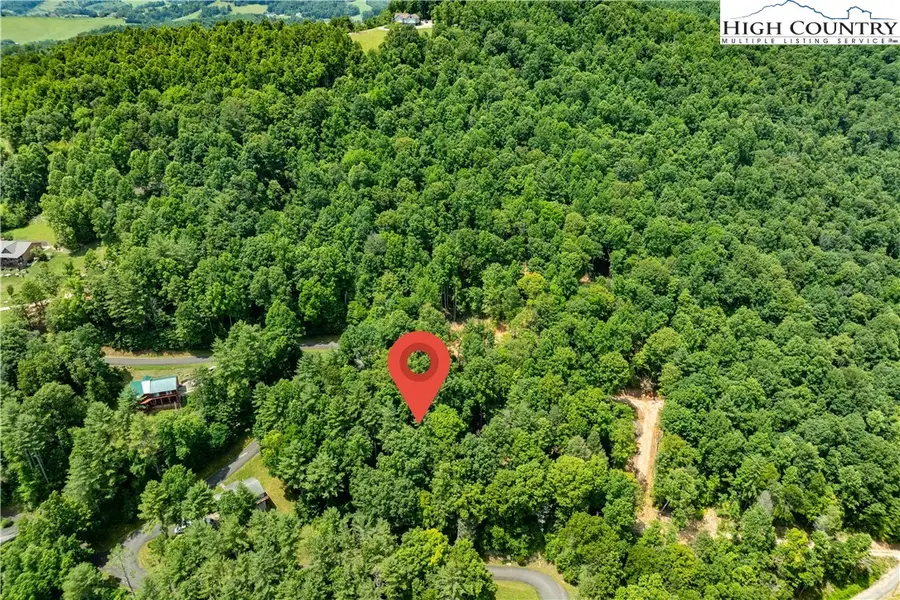 Lot 2 Lake Ridge, Butler, TN 37640 - #3
