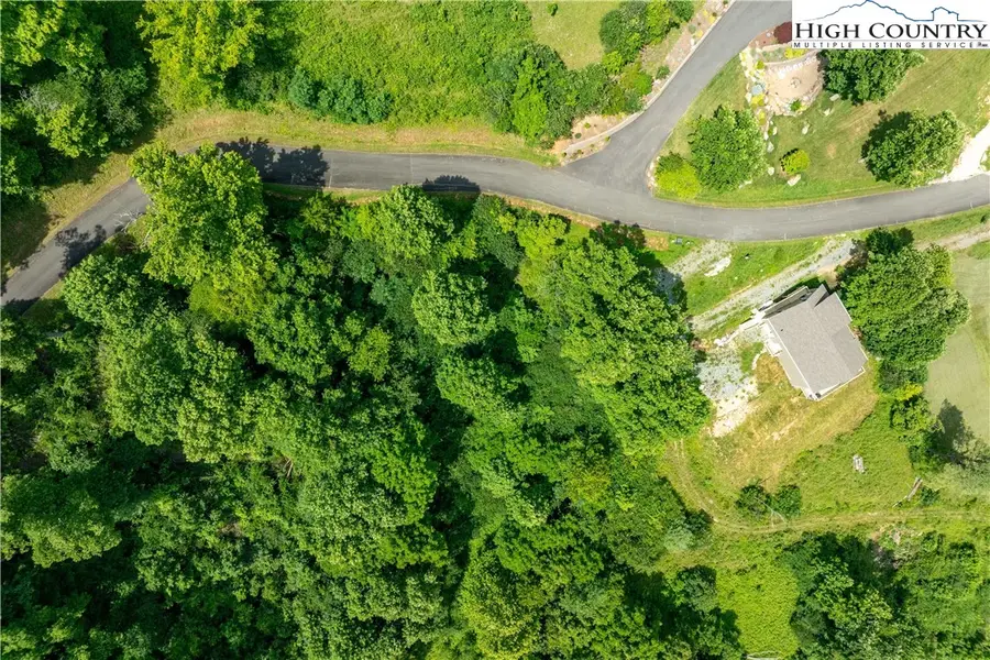 Lot 10 Lake Ridge, Butler, TN 37640 - #2