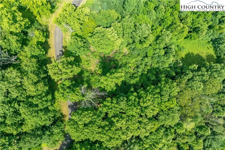 Lot 11 Lake Ridge, Butler, TN 37640 - #2