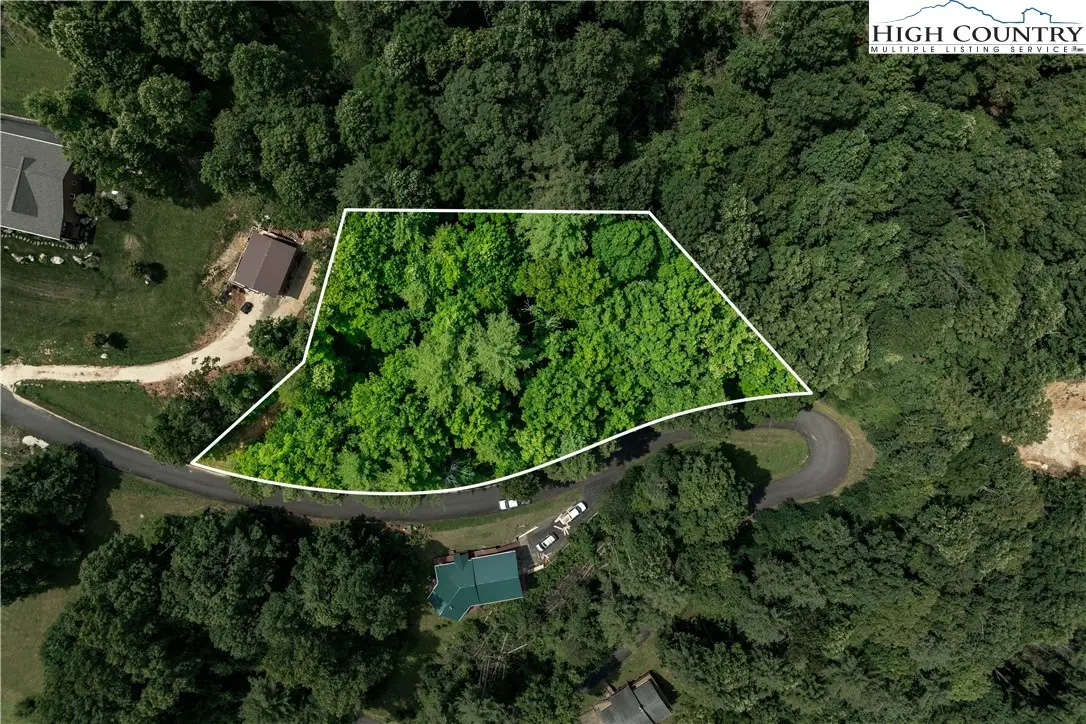 Lot 13 Lake Ridge, Butler, TN 37640 - #1