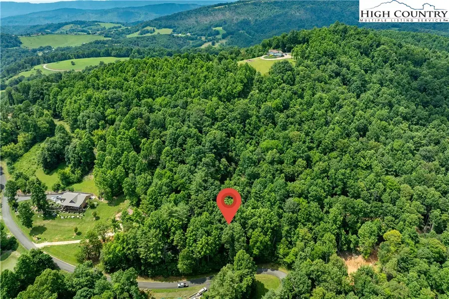 Lot 13 Lake Ridge, Butler, TN 37640 - #3