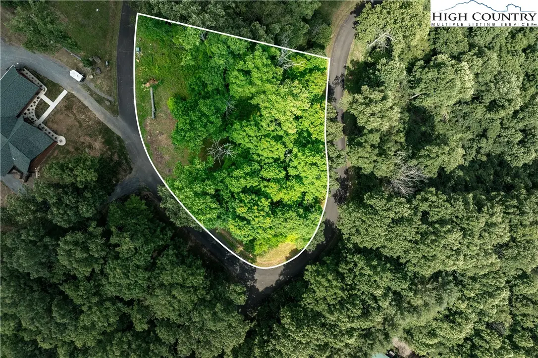 Lot 18 Lake Ridge, Butler, TN 37640 - #1