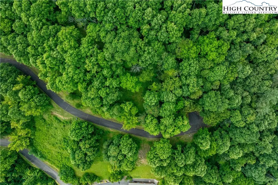 Lot 20 Lake Ridge, Butler, TN 37640 - Image #2