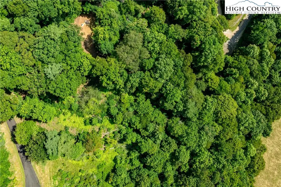 Lot 32 Lake Ridge, Butler, TN 37640 - #2