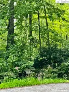 TBD White Pine Circle, Elk Park, NC 28622 - Image #2