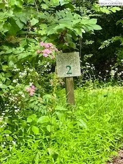 TBD White Pine Circle, Elk Park, NC 28622 - Image #3