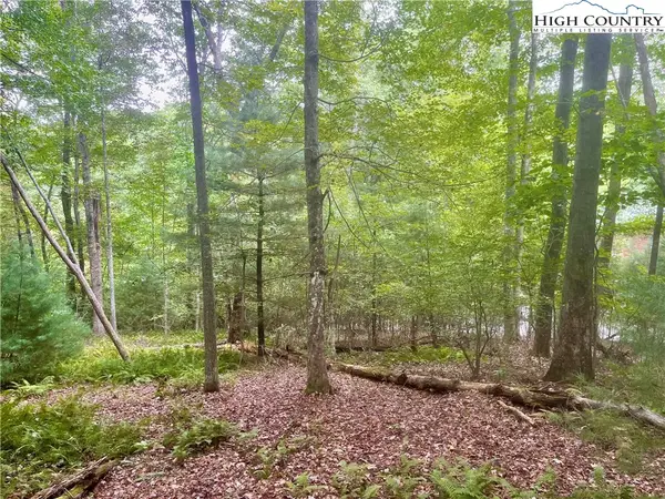 TBD Laurelwood Drive, West Jefferson, NC 28684