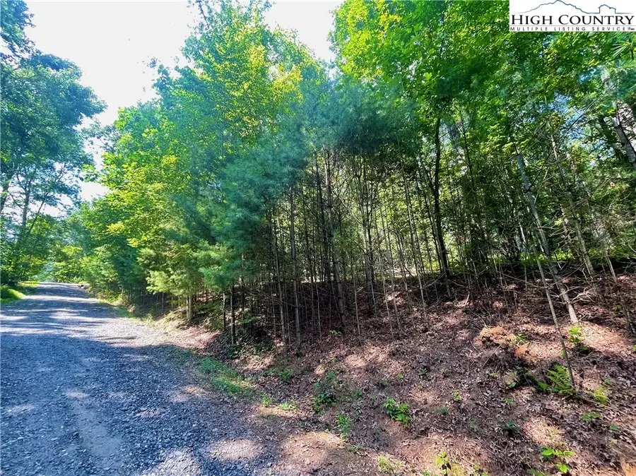 TBD Laurelwood Drive, Obids, NC 28684 - Image #3