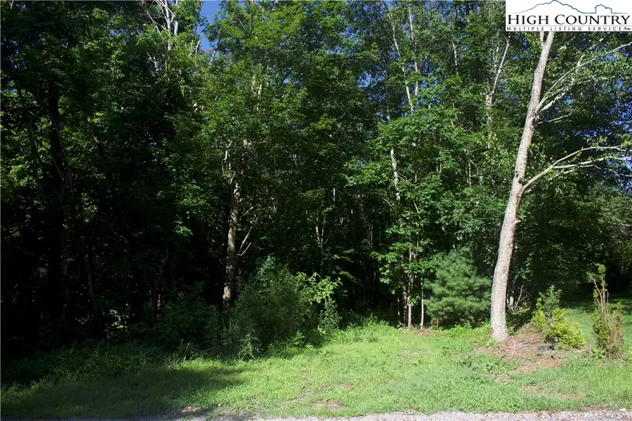Lot 2A Whispering Pines Rd, Boone, NC 28607 - Image #3