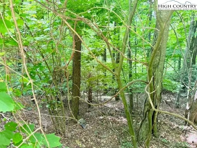 Lot 17 Savannah Drive, West Jefferson, NC 28694 - Image #3