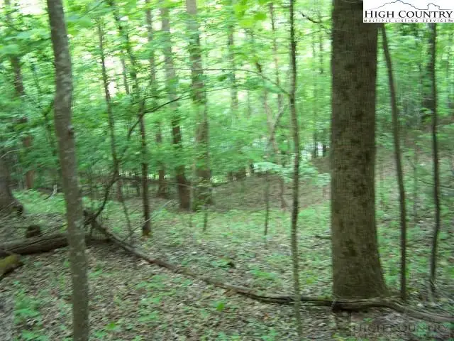 Tbd Powder Horn Mountain Road, Deep Gap, NC 28618 - Image #2