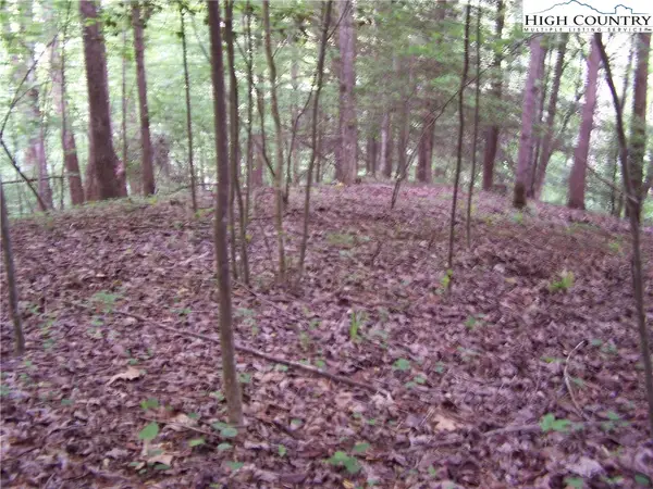 Tbd Powder Horn Mountain Road, Deep Gap, NC 28618