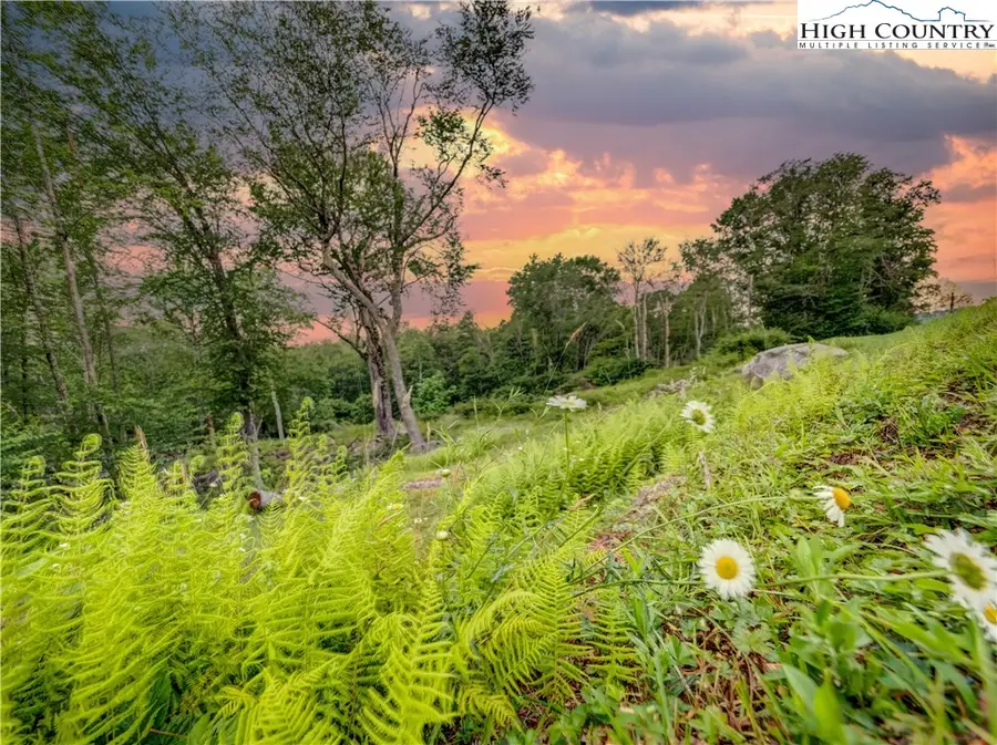 72 Eagle Creek Trail, Banner Elk, NC 28604 - Image #2