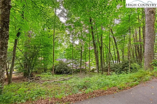 140 Pine View Road, Newland, NC 28657