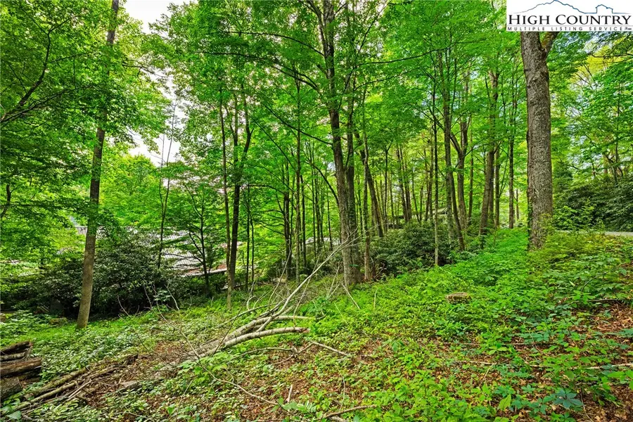 140 Pine View Road, Newland, NC 28657 - Image #2