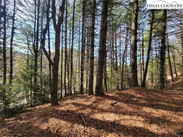 TBD (Lot 73) Creekside Meadows Drive, Fleetwood, NC 28626