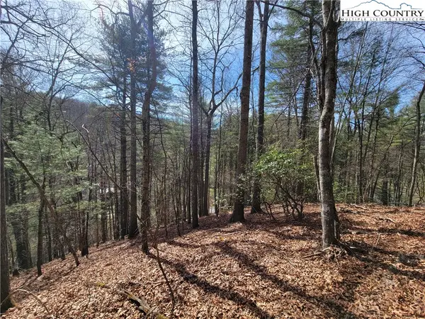 TBD (Lot 72) Creekside Meadows Drive, Fleetwood, NC 28626