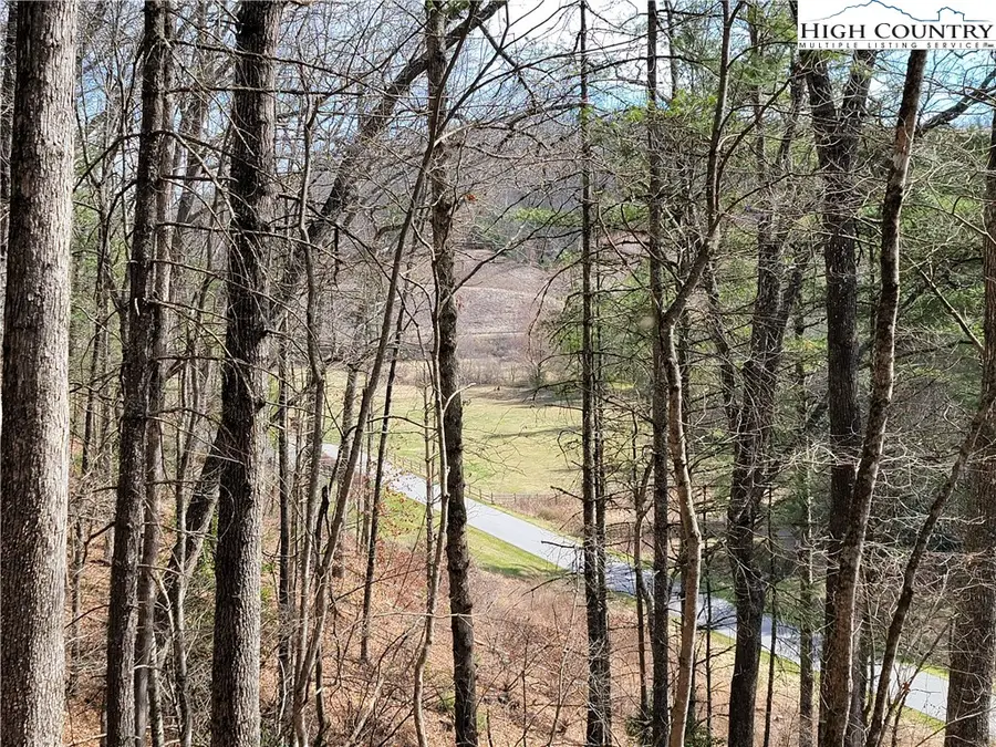 TBD (Lot 72) Creekside Meadows Drive, Fleetwood, NC 28626 - Image #2