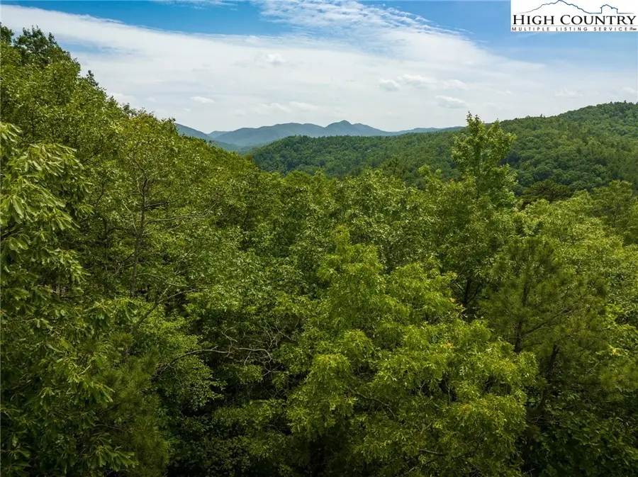 1310 Reynolds Parkway, Boone, NC 28607 - Image #3