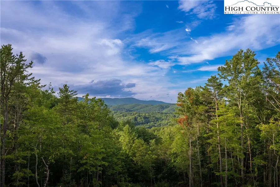 183 Marigold Road, Boone, NC 28607 - Image #3