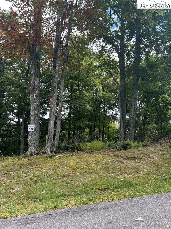 405 Firethorn Trail, Blowing Rock, NC 28605 - Image #1