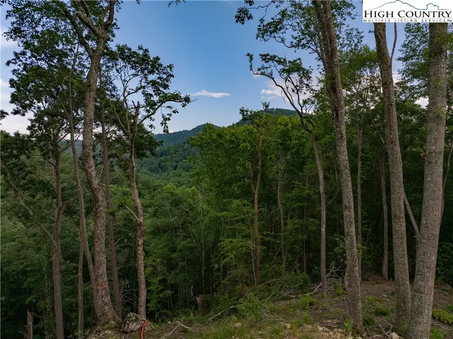 C124 Springwater Lane, Banner Elk, NC 28604 - Image #2