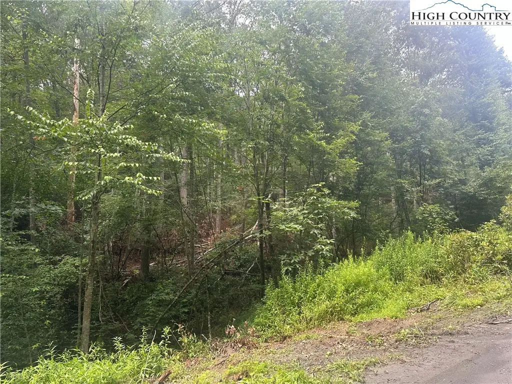 Lot 3 Cedar Cove Lane, Fleetwood, NC 28262 - Image #1