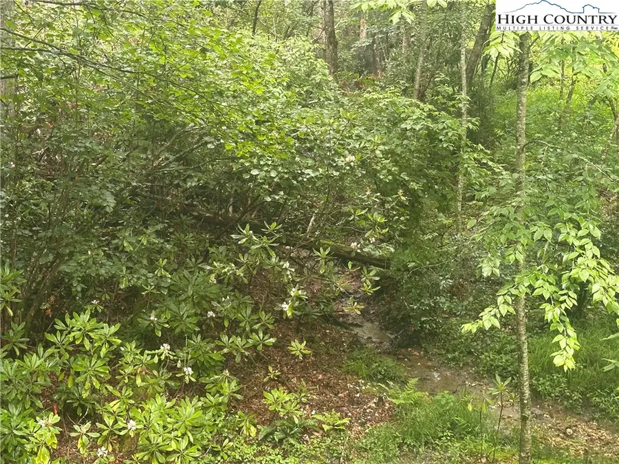Lot 3 Cedar Cove Lane, Fleetwood, NC 28262 - Image #3
