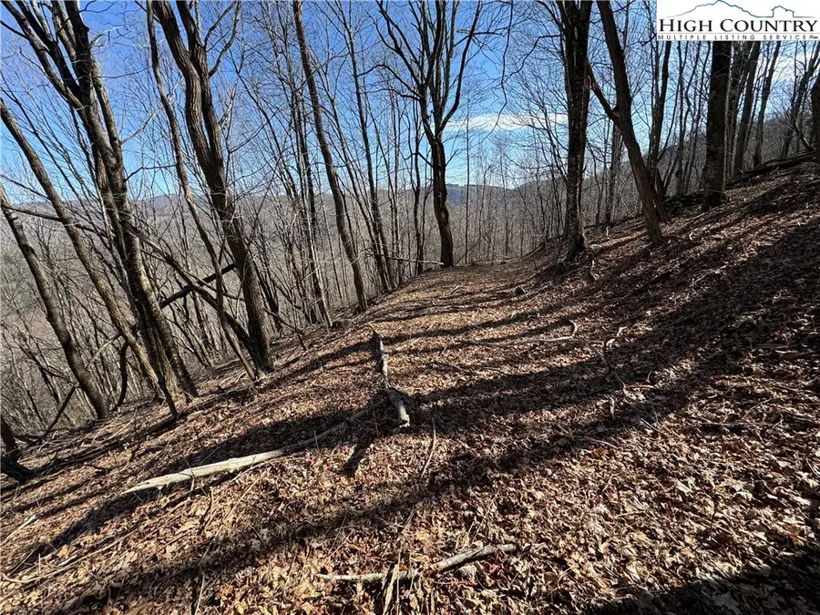 Lot 32 Jewel Weed Trail, Newland, NC 28657 - Image #2