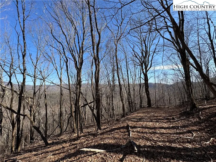 Lot 32 Jewel Weed Trail, Newland, NC 28657 - Image #3