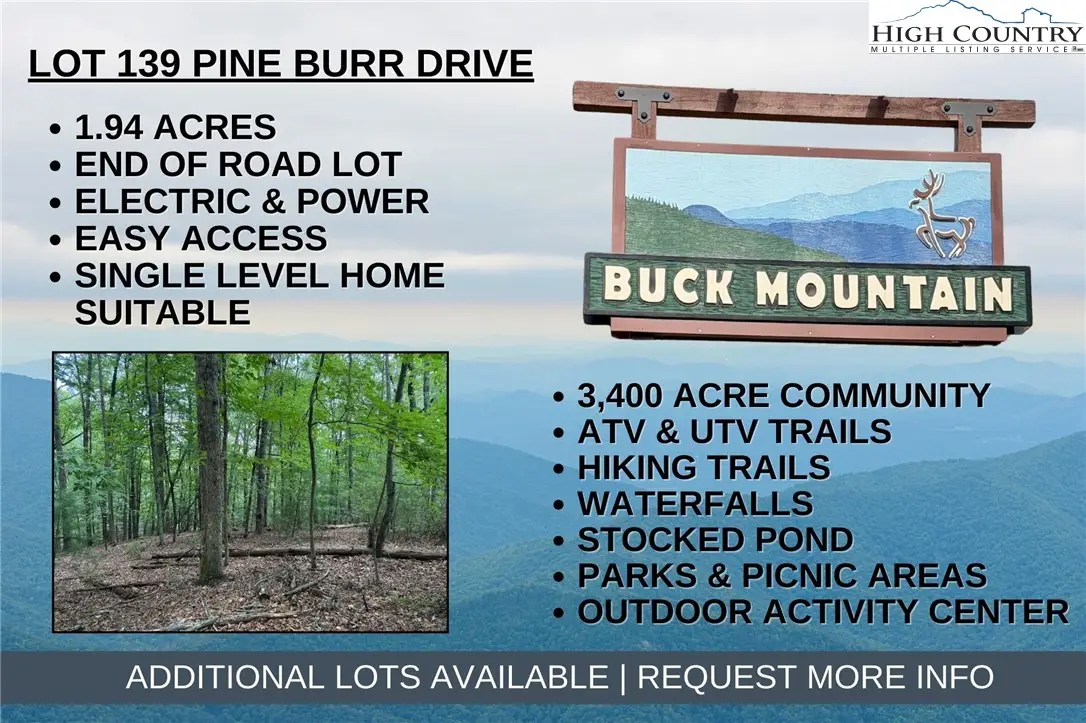 Lot 139 Pine Burr Drive, Purlear, NC 28665 - #1
