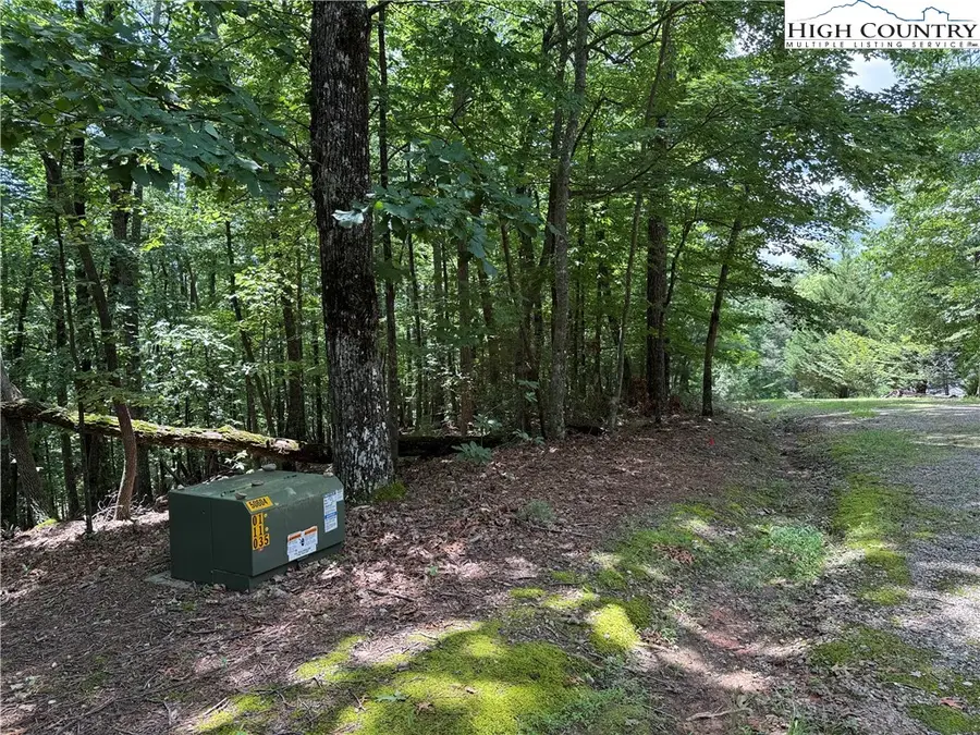 Lot 139 Pine Burr Drive, Purlear, NC 28665 - #3