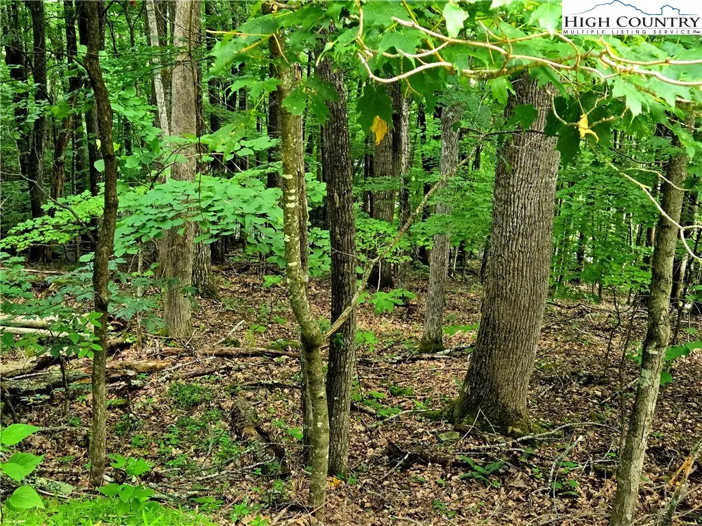 TBD Red Fox Ridge, Boone, NC 28607 - Image #1