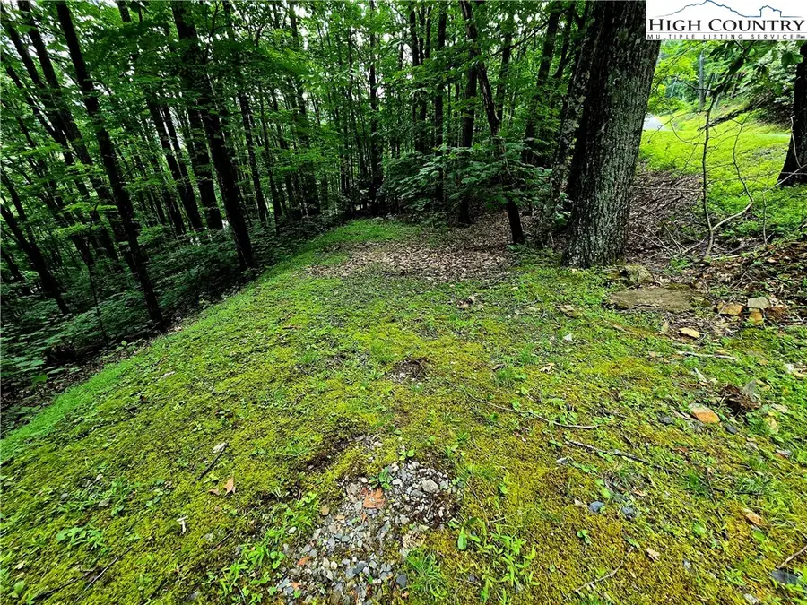 TBD Red Fox Ridge, Boone, NC 28607 - Image #2