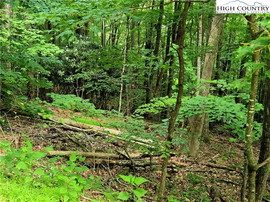 TBD Red Fox Ridge, Boone, NC 28607 - Image #3