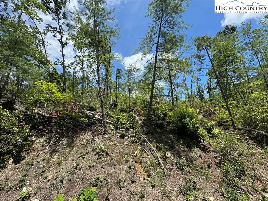 Lot 10A Sequoyah Circle, Marion, NC 28752 - Image #2