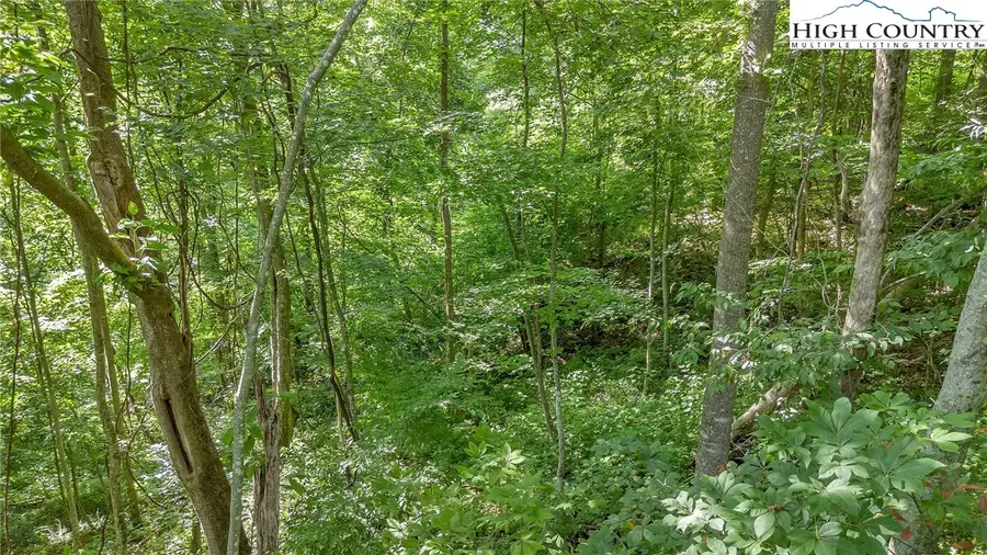 Lot 53 Dream Mountain Road, Grassy Creek, NC 28631 - Image #2