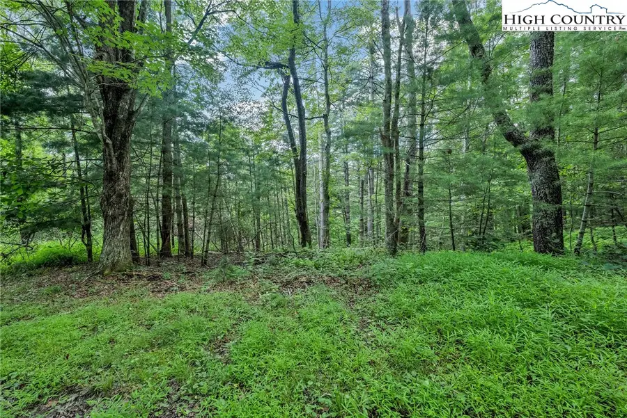 Lot 73 Buckland Road, Grassy Creek, NC 28631 - Image #2