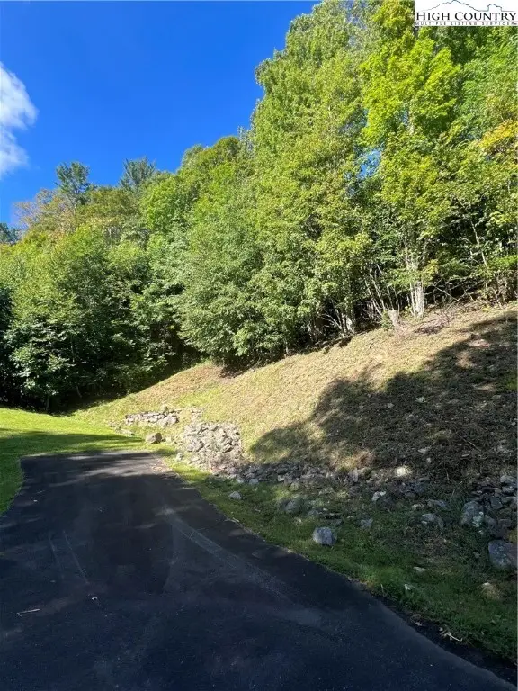 172 Hump View Trail, Banner Elk, NC 28604 - Image #3