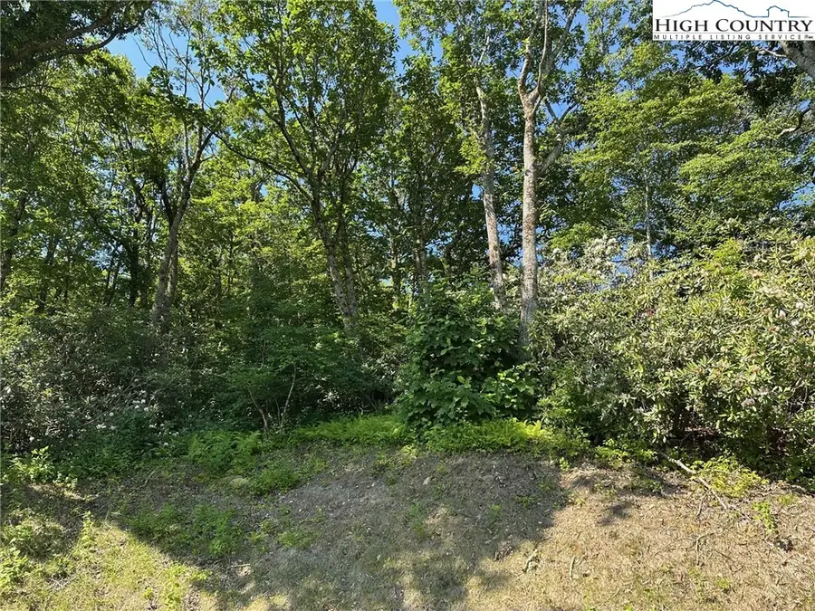TBD Camden Lane, Blowing Rock, NC 28605 - Image #2