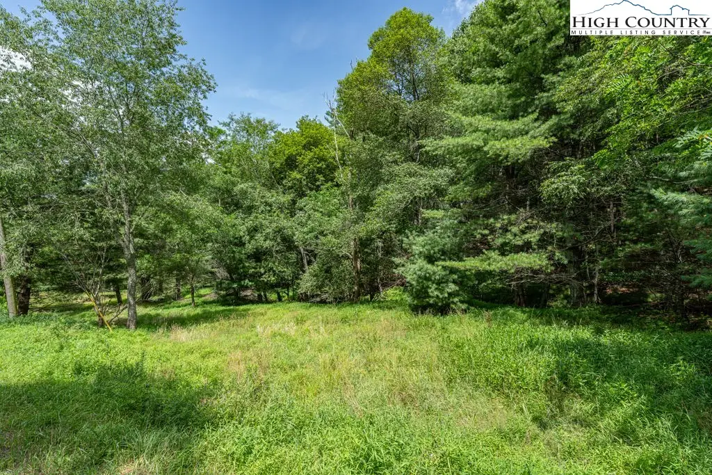 TBD Niley Cook Road, Boone, NC 28607 - Image #1