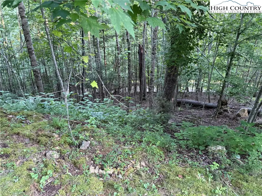 TBD Bennick Place, Sugar Grove, NC 28679 - Image #2