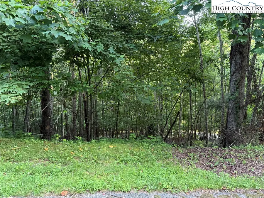 TBD Bennick Place, Sugar Grove, NC 28679 - Image #3