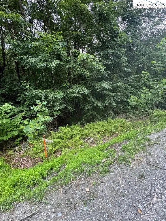 327 Locust Ridge, Beech Mountain, NC 28604 - Image #1